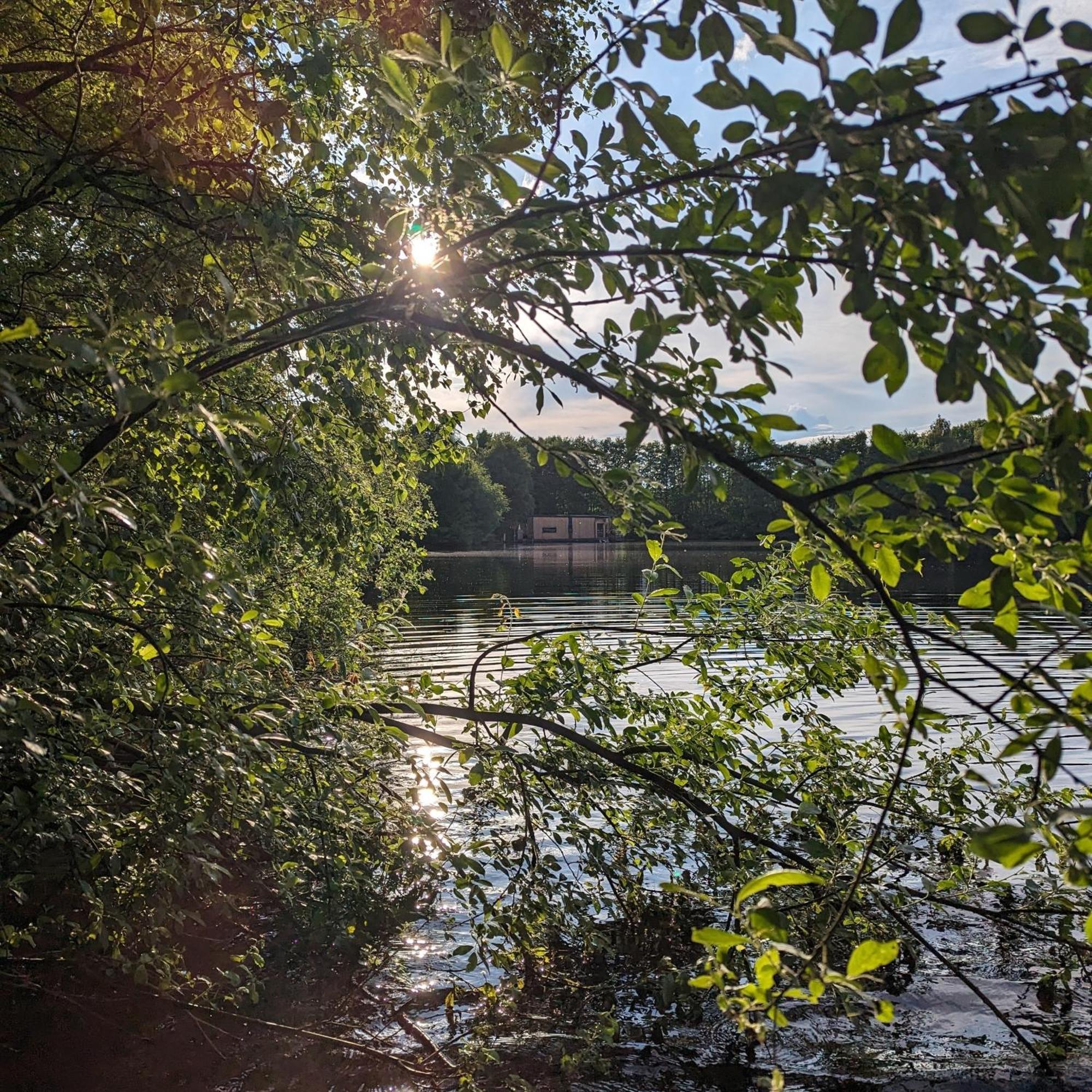 Hausboot Lena Otel Papenburg Dış mekan fotoğraf